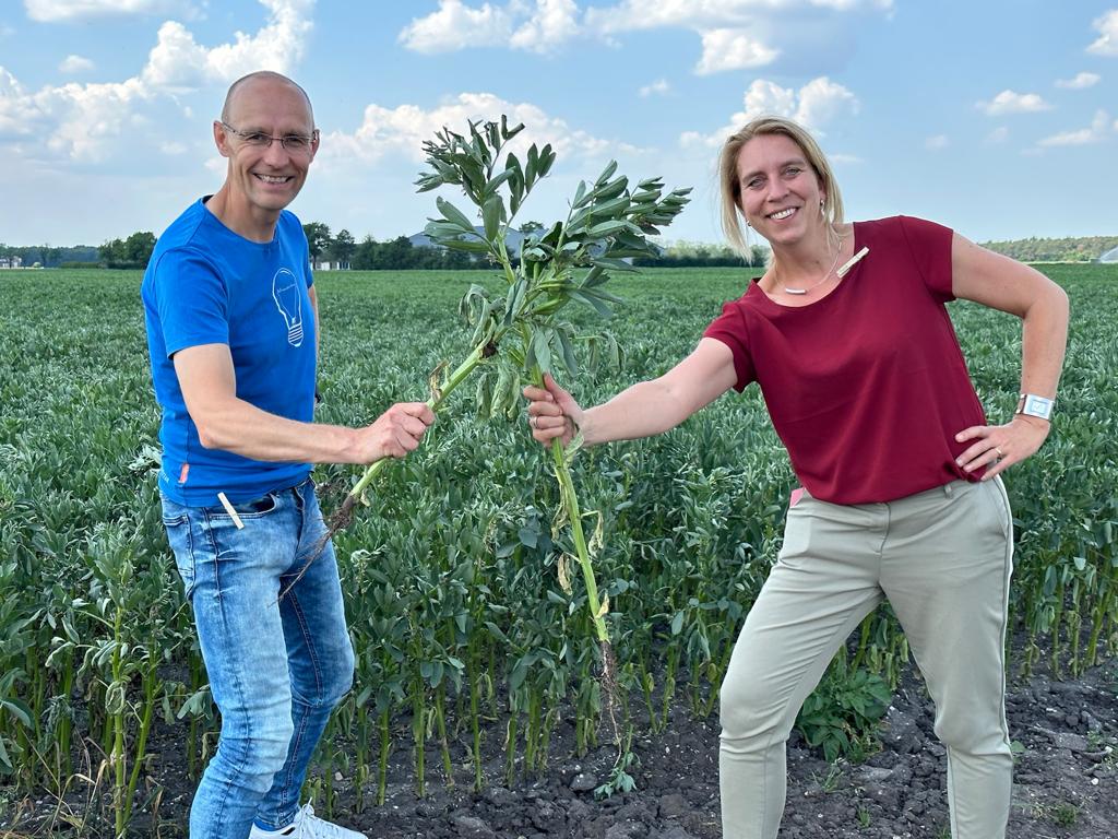 samen bouwen aan nieuwe eiwitten