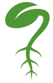 Dit is kwartierkracht