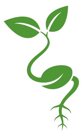 Dit is kwartierkracht